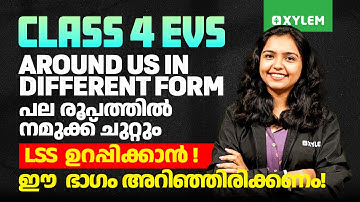 Class 4 EVS | Around us in Different Form : LSS  ഉറപ്പിക്കാൻ ഈ  ഭാഗം അറിഞ്ഞിരിക്കണം | Xylem Class 4
