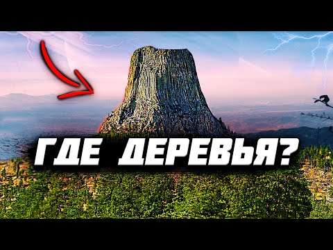 Кто УНИЧТОЖИЛ ЛЕСА? Об этом ЗАПРЕЩЕНО ГОВОРИТЬ историкам!