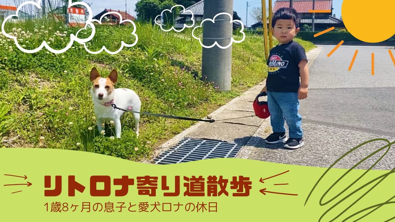 犬と子供 2 1歳児に犬の散歩をさせてみたら リトロナ Youtube
