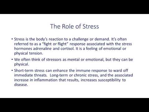 The Connection between Mental and Physical Health