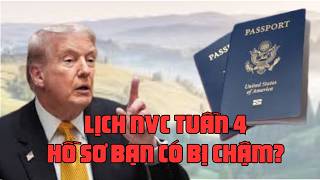 US IMMIGRATION – Lịch chiếu khán NVC tuần 4 tháng 2 (Hồ sơ của bạn có bị chậm?)