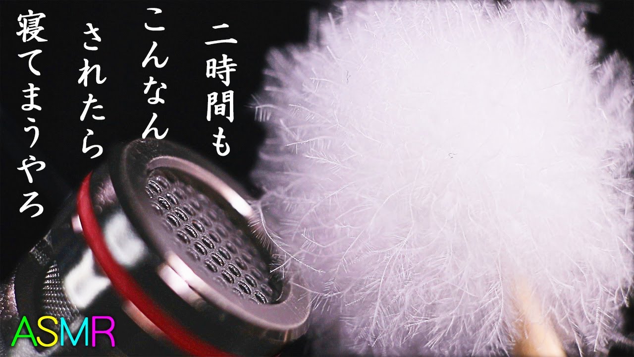 【ASMR】ズモモﾓっと鼓膜を刺激し続ける耳掃除の音120分♡シンプルだけどメチャクチャ眠れる「こういうのでいいんだよ」的なマイクブラッシンング♪大きな梵天・極軟みっしりブラシ・純白純綿手袋【音好き】