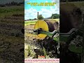 Field Cleanup — when removing mulch by hand stopped being enough