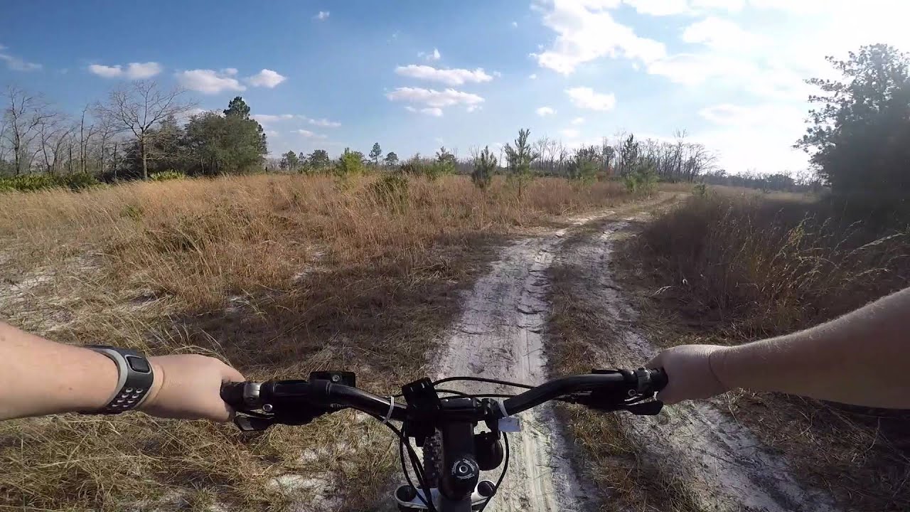Lake Asbury Florida Trail Ride YouTube