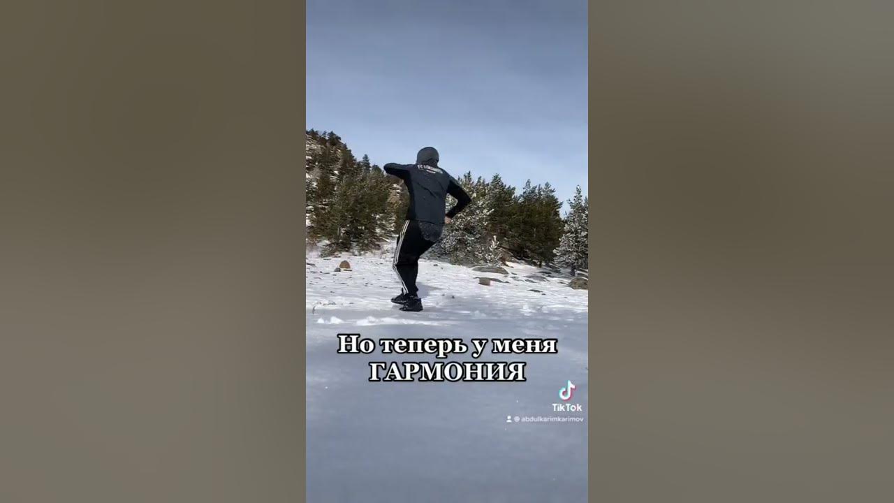 Artik & Asti - Гармония