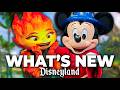 Top 10 New Disney Rides, Updates & Changes Disneyland 2024