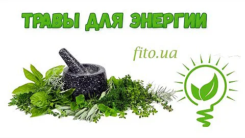 Травы для энергии и бодрости. Топ 5
