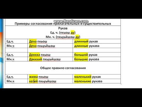 1 ч. Прилагательные и существительные (согласование).