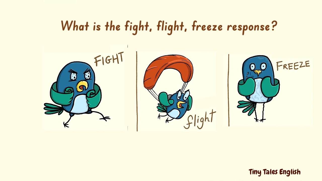 How the fight, flight, freeze response affects your brain and nervous ...