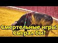 Смертельная игра с быками