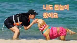여기저기go, 오늘은 바다를 왔어요 #파도