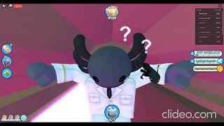 Roblox | Pet Simulator X | Tutorial: How to get inside the travelling merchant shop!