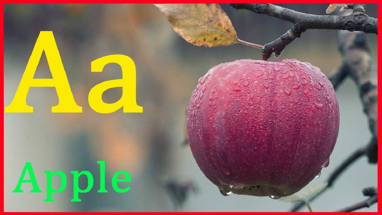 alphabet learning for kids alphabet songs nursery rhymes youtube