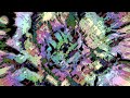 The D.S.C. (Stivs & Ed Cox) - Sherlok Dub 2 (2008 wonky acid breaks)