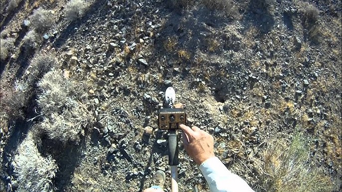 Digging for Treasure: Gold Prospecting - Roaring Camp Gold