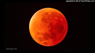 Dk9, El Virtual - Mirando A La Luna Freestyle 2019