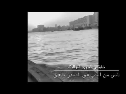 ياريت لي عبره شيخه المزروعي