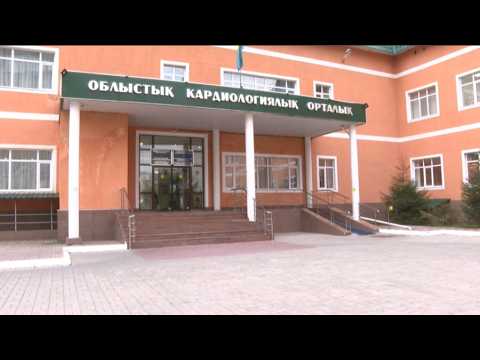 Павлодар облысында жүрек-қан тамыры аурулары өршіп тұр
