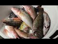 ★モリで突いた南国の魚で干物を作ってみたらまさか⁉の味でした。