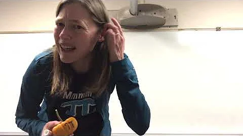 The Function Machine