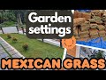 Mexican grass         alfiiizvlogs