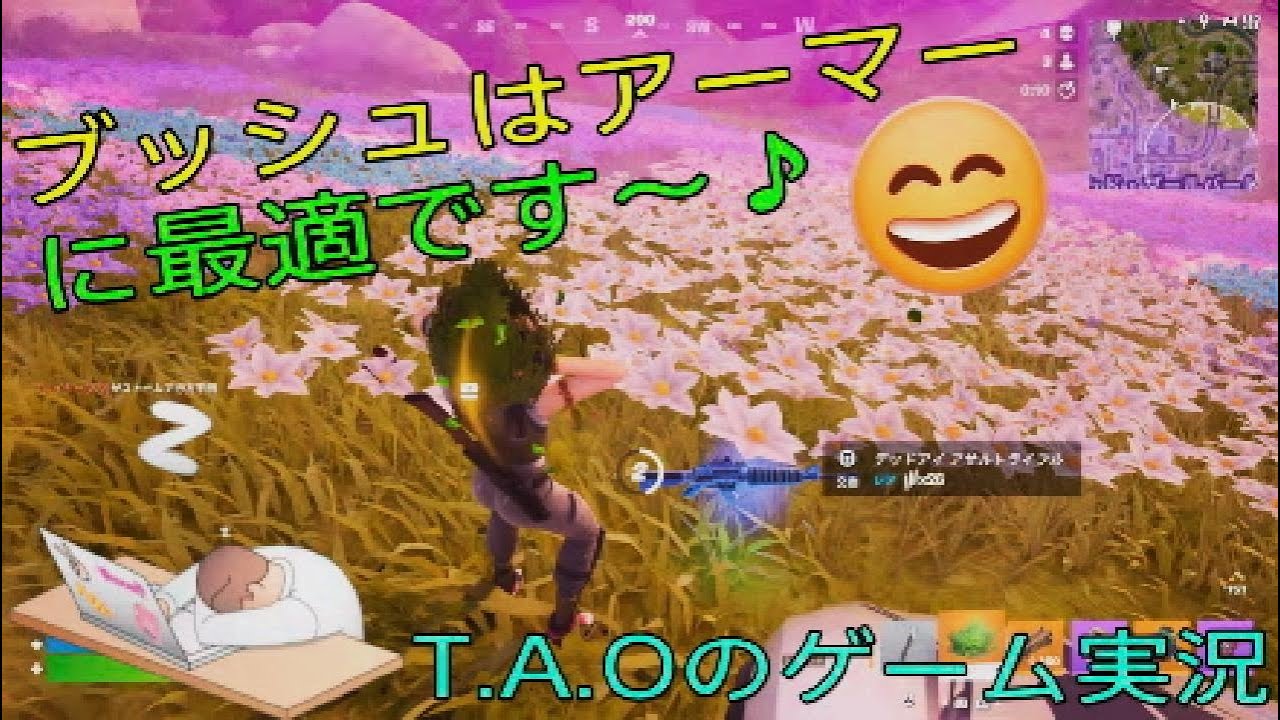 ［T.A.Oのゲーム実況］ブッシュは防弾アーマーに最適です～♪［フォートナイト］［ゼロビルド］