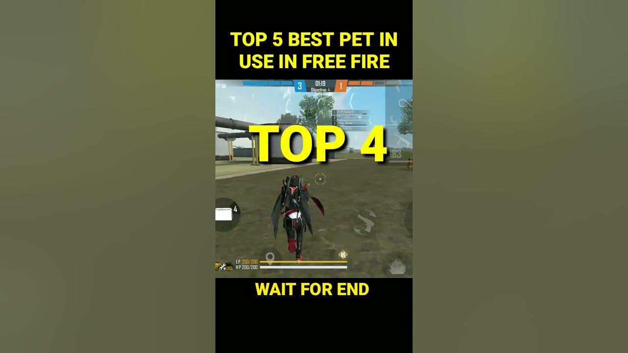 BEST PET IN FREE FIRETOP 5 PET IN FREE FIRE FREE FIRE PET ABILITY