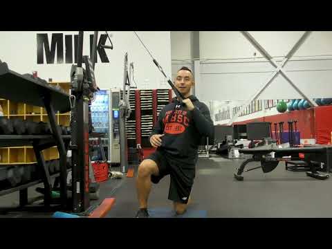 Cross Body, Half Kneeling One Arm Pull Down