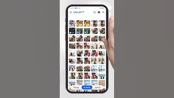 4 ways of sorting your photos.