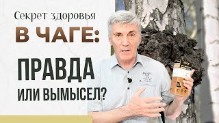 Чага от Витаукт (экстракт березового гриба) – зачем нужна и как применять