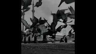 Bika Moulhimi | Maher Zain & Mustafa Ceceli