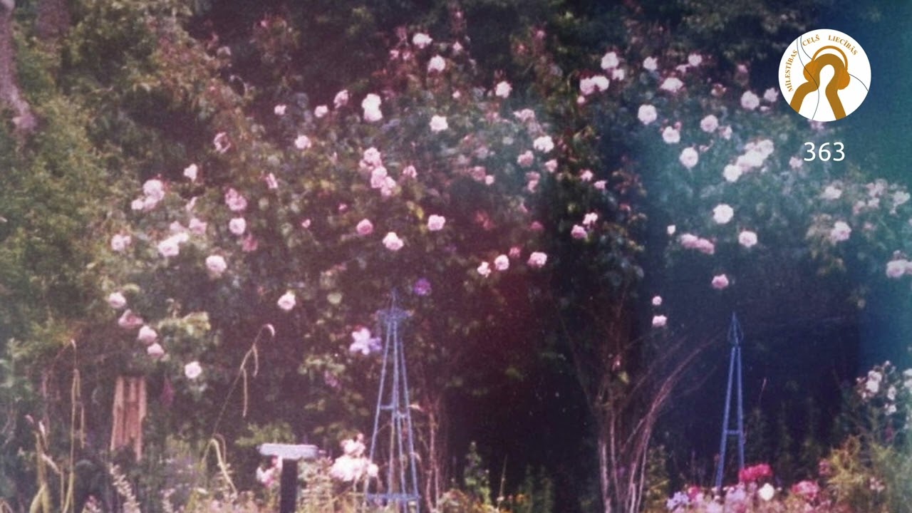 MĪLESTĪBAS CEĻŠ LIECĪBĀS | DIEVS DZIEDINA