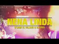 D Shon El Villano DJ Epps Nena Linda mp3