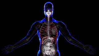 10,000HZ I FULL BODY ENERGY HEALING I SOUND THERAPY