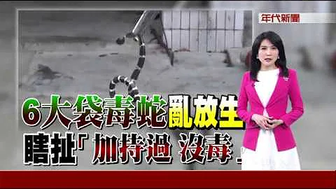 放生6袋毒蛇遭阻 比丘尼:加持過無毒 - 天天要聞