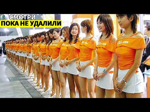 15 самых странных и безумных рынков в мире, в существование которых невозможно поверить