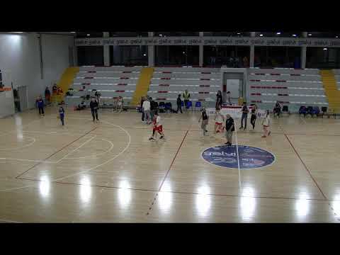 Video Basket Foxes vs Milano Basket Stars