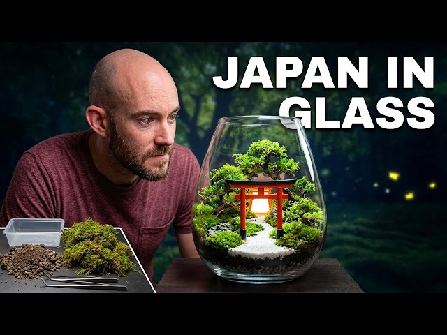 I Built a Mini Japanese Forest in Glass (ADA Shizuku Terrarium