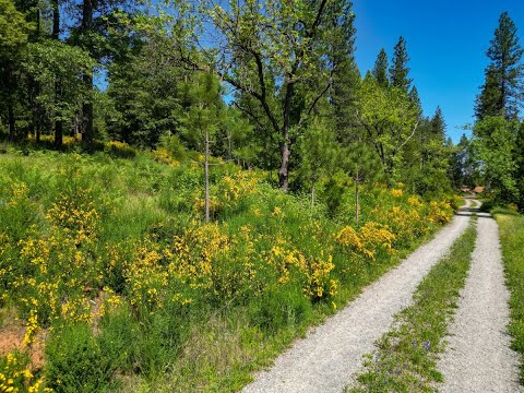 11620 Bitney Springs Rd, Nevada City, CA home video tour