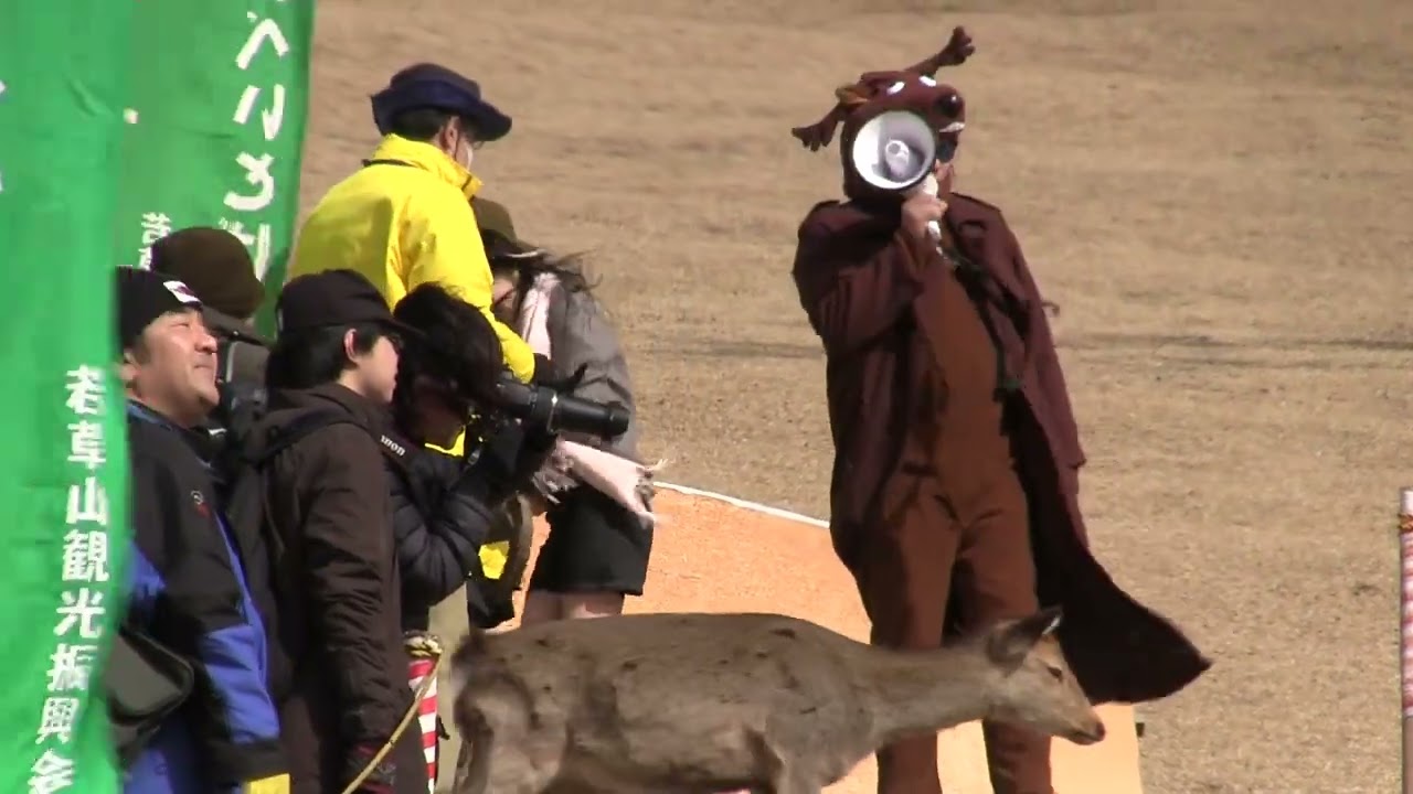 2013年 鹿せんべい飛ばし大会 奈良市