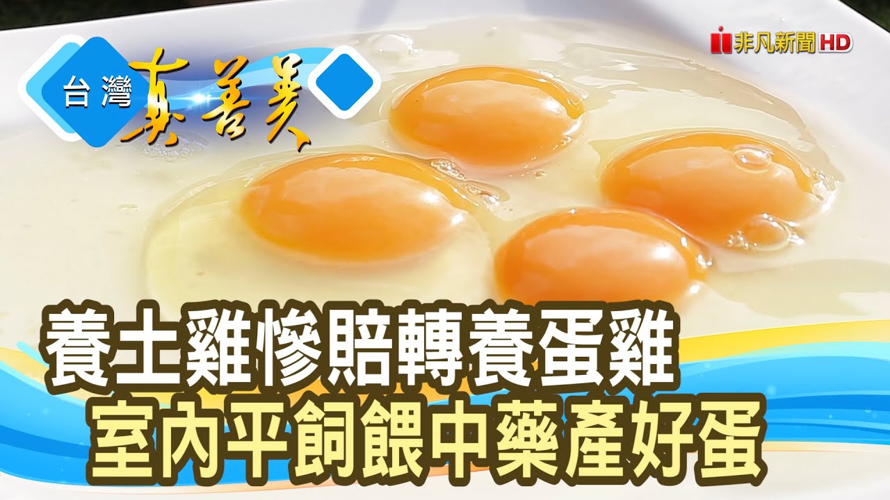 喝中藥長大的“快樂蛋”｜樂活畜牧場｜【台灣真善美】2022.12.11
