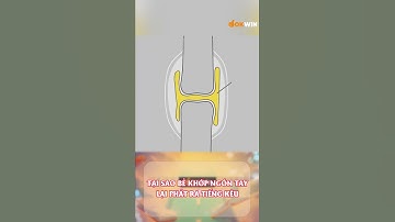 TẠI SAO BẺ KHỚP NGÓN TAY LẠI PHÁT RA TIẾNG KÊU #viral #viralvideo #shorts