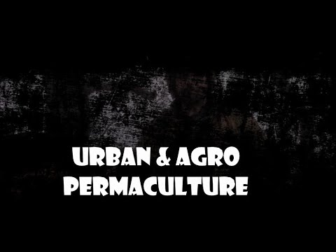Urban and Agro Permaculture