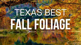 Texas State Parks: Fall Foliage Wonderland by Mr.S Travel Quest 675 views 6 months ago 5 minutes, 14 seconds