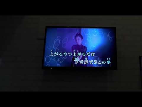 【HANA】「NON STOP」歌ってみた
