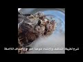 Hawksbill Turtle clean تنظيف سلحفاة بحرية منقارية الصقر