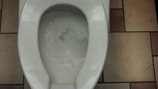 Kohler Toilet at Lowe s