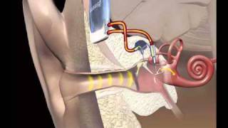 Stalker - Magic Crayons Maor Levi Remix