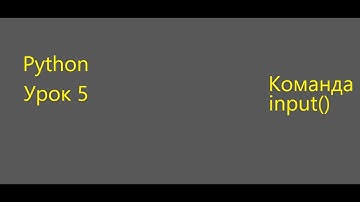 Команда input в python. Что это такое?? 5 УРОК