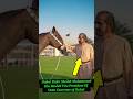 Dubai Royal Family|Dubai Ruler Sheikh Mohammed bin Rashid Al Maktoum &amp; Horse#dubai#shorts#lifestyle